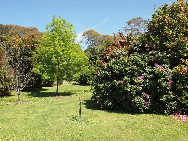 1587 Euroa-Strathbogie Road, Kelvin View via, Euroa VIC 3666