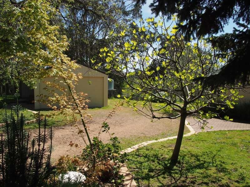 1587 Euroa-Strathbogie Road, Kelvin View via, Euroa VIC 3666