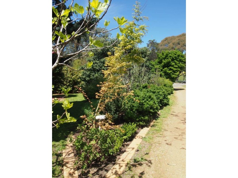 1587 Euroa-Strathbogie Road, Kelvin View via, Euroa VIC 3666