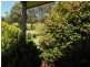 1587 Euroa-Strathbogie Road, Kelvin View via, Euroa VIC 3666