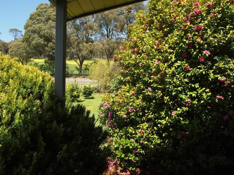 1587 Euroa-Strathbogie Road, Kelvin View via, Euroa VIC 3666