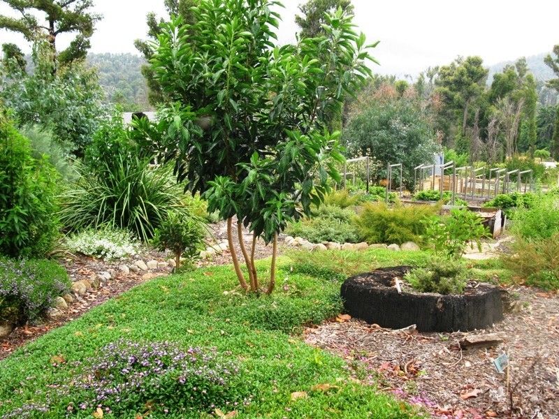 45 – 47 Lyell St, Marysville VIC 3779