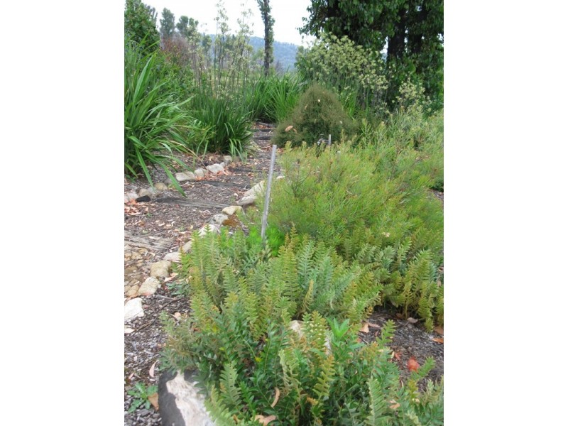 45 – 47 Lyell St, Marysville VIC 3779