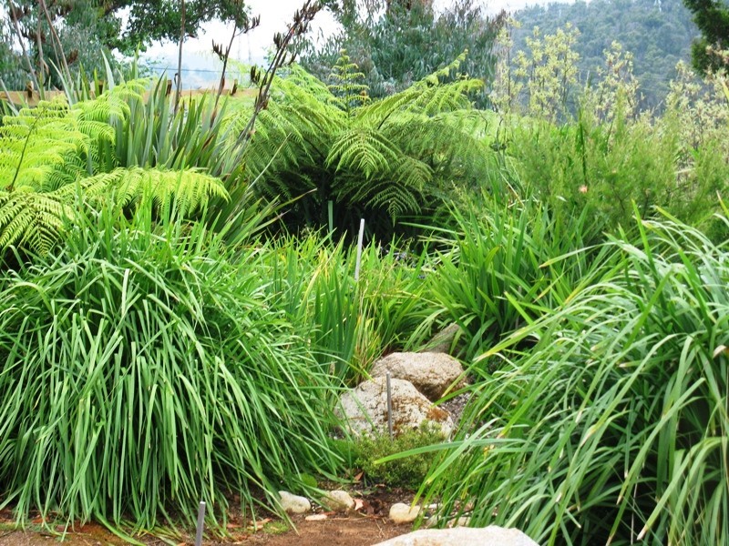 45 – 47 Lyell St, Marysville VIC 3779