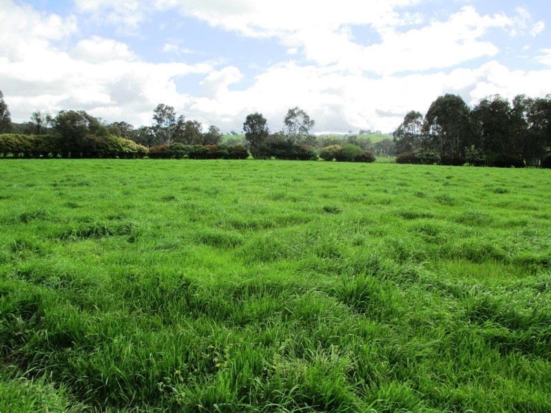 32 McMartins Road, Alexandra VIC 3714