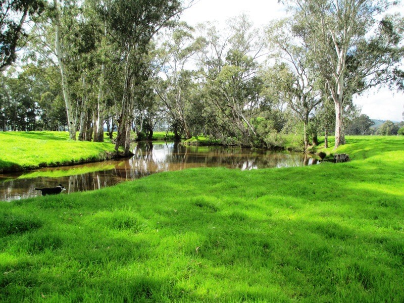 32 McMartins Road, Alexandra VIC 3714