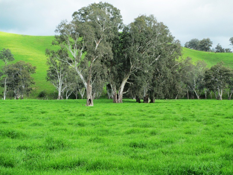 32 McMartins Road, Alexandra VIC 3714