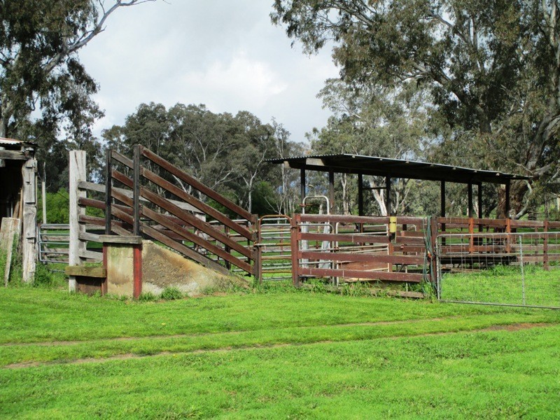 32 McMartins Road, Alexandra VIC 3714