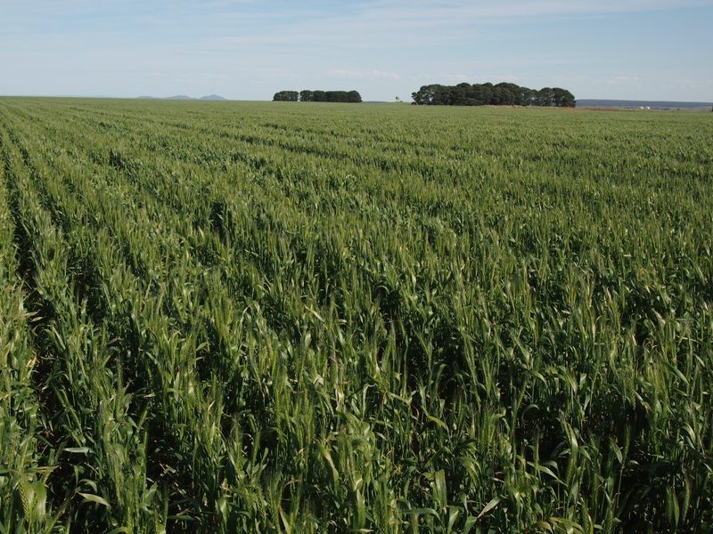 - Ingleston – Settlement Road, Ballan VIC 3342