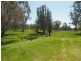 1143 Bendigo-Sutton Grange Road, Sutton Grange VIC 3448