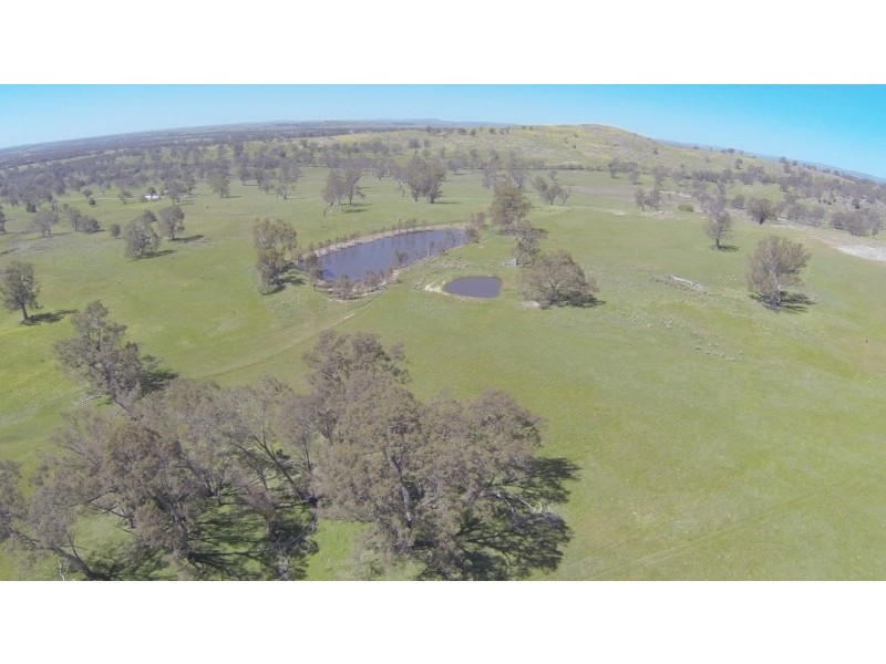 1143 Bendigo-Sutton Grange Road, Sutton Grange VIC 3448