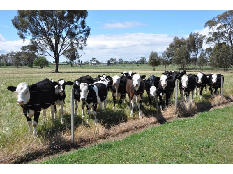 534 Craven Road, Tatura VIC 3616