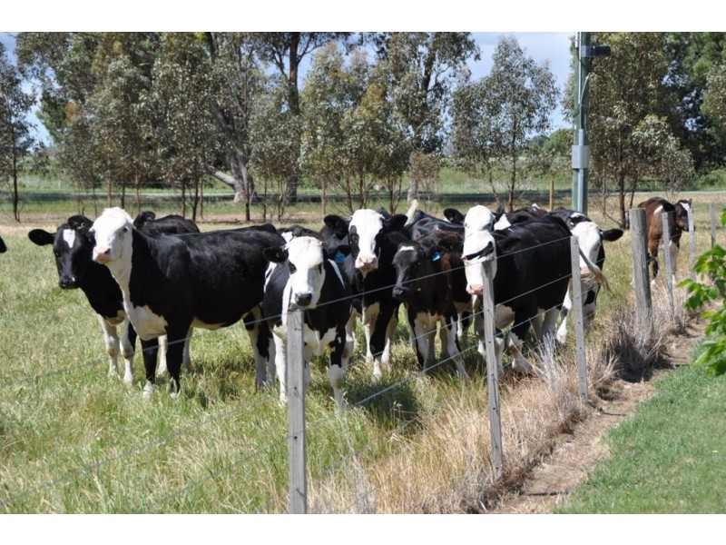 534 Craven Road, Tatura VIC 3616