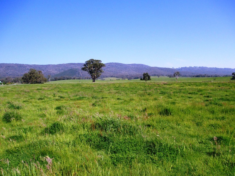 43 Pennington Lane, Yarck VIC 3719