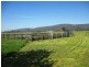 43 Pennington Lane, Yarck VIC 3719