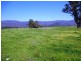 43 Pennington Lane, Yarck VIC 3719