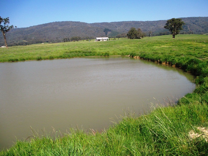 43 Pennington Lane, Yarck VIC 3719