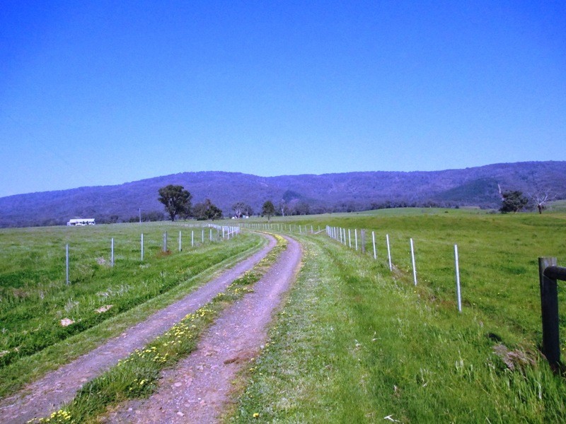 43 Pennington Lane, Yarck VIC 3719