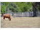 4950 Barmah-Shepparton Rd, Bunbartha VIC 3634
