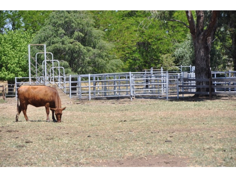 4950 Barmah-Shepparton Rd, Bunbartha VIC 3634