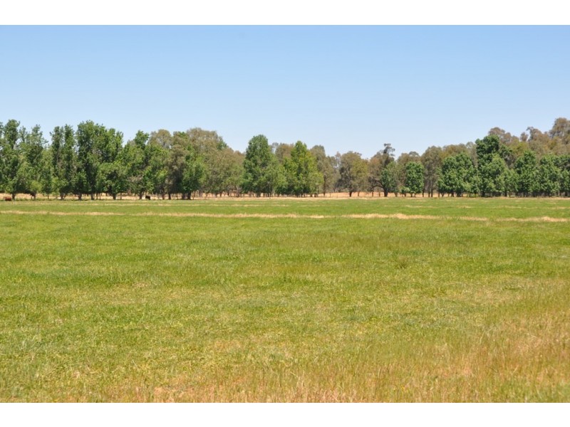 4950 Barmah-Shepparton Rd, Bunbartha VIC 3634