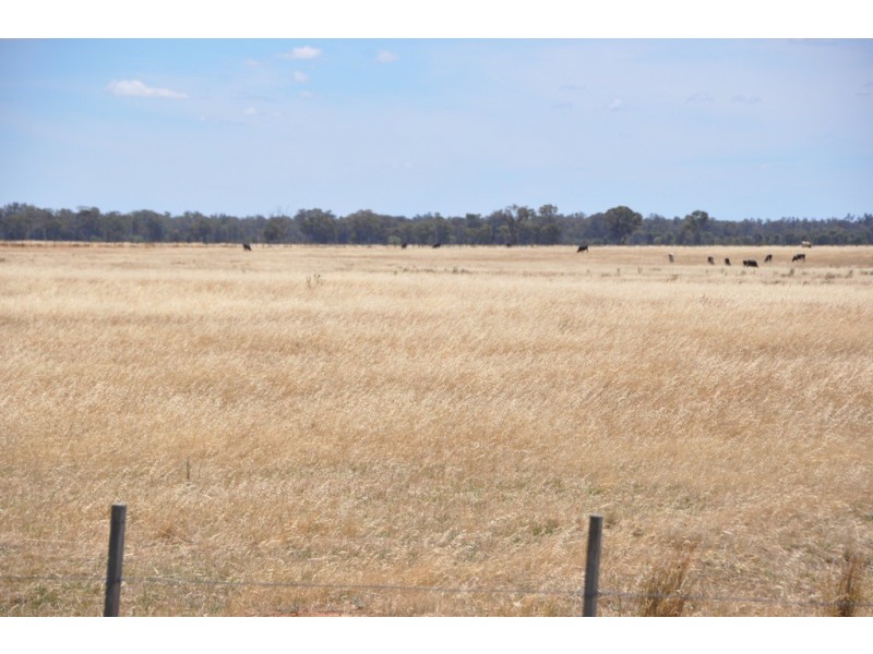 95 Lord Road, Bunbartha VIC 3634