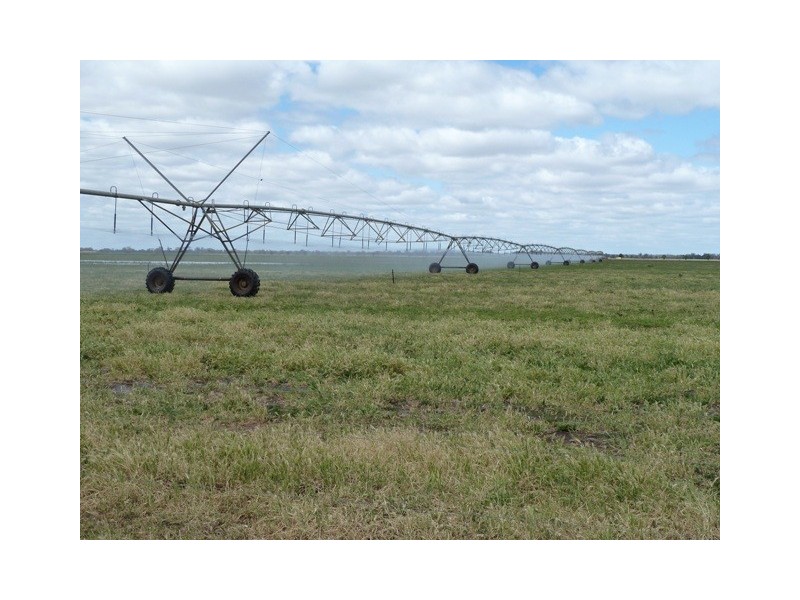 RMB 2330 Perricoota Road, Moama NSW 2731