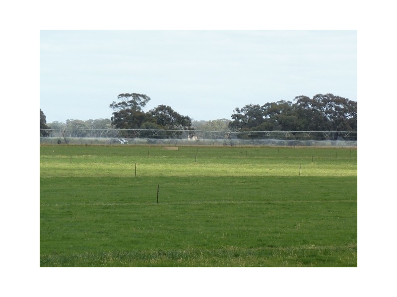 RMB 2330 Perricoota Road, Moama NSW 2731