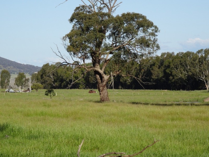 Chesney Vale VIC 3725