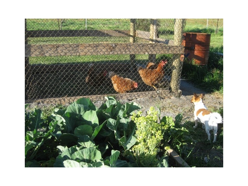 Tarrawingee VIC 3678