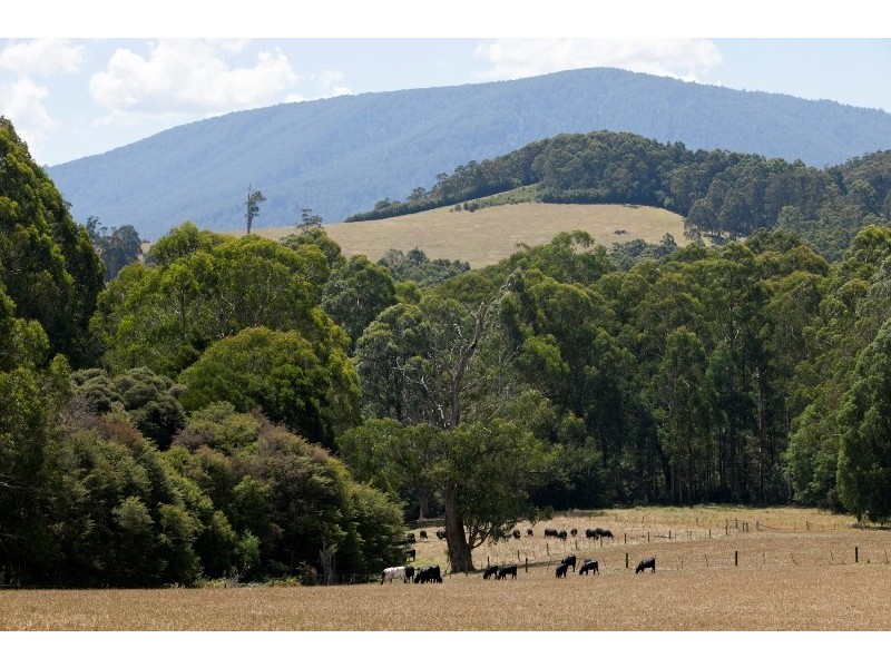 60 and 80 McLeans Road, East Warburton VIC 3799