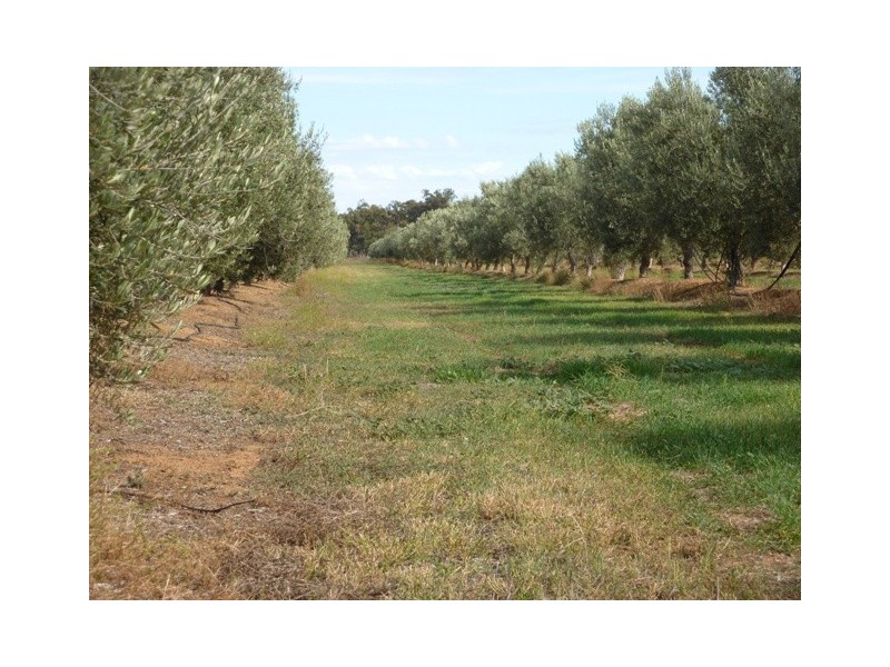 231 Farley Road, Echuca VIC 3564