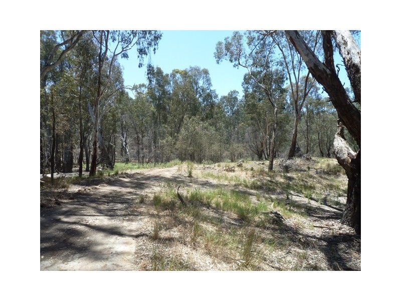 . Old Barmah Road, Moama NSW 2731