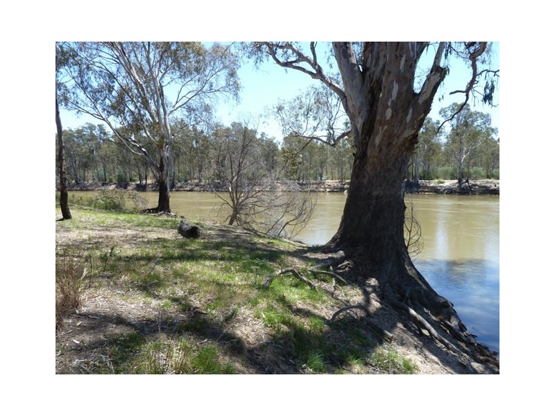 . Old Barmah Road, Moama NSW 2731