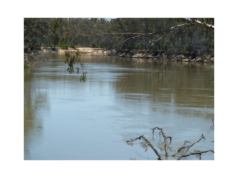 . Old Barmah Road, Moama NSW 2731