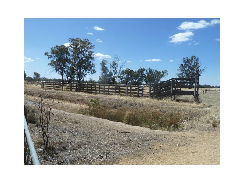 . Hardings Lane, Moama NSW 2731