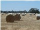 . Hardings Lane, Moama NSW 2731