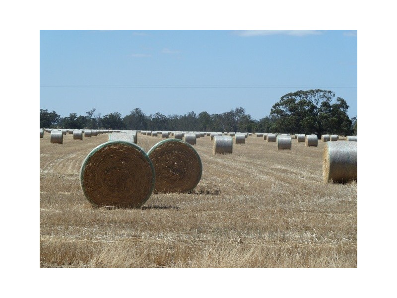 . Hardings Lane, Moama NSW 2731