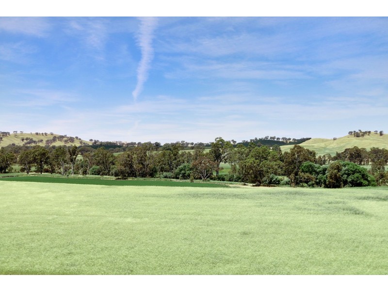 60 Nicholson Road, Yarck VIC 3719