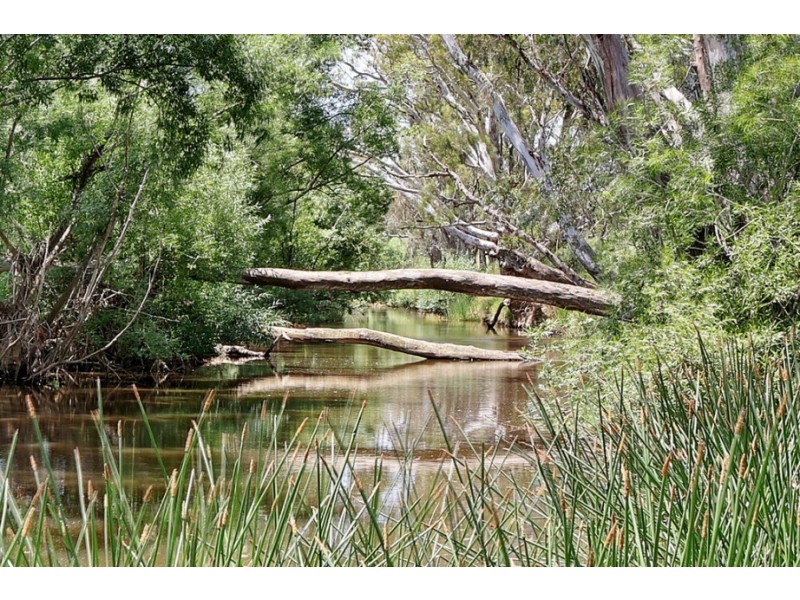 60 Nicholson Road, Yarck VIC 3719