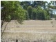 Lot 260 Old Deniliquin Road, Moama NSW 2731