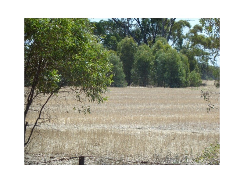 Lot 260 Old Deniliquin Road, Moama NSW 2731