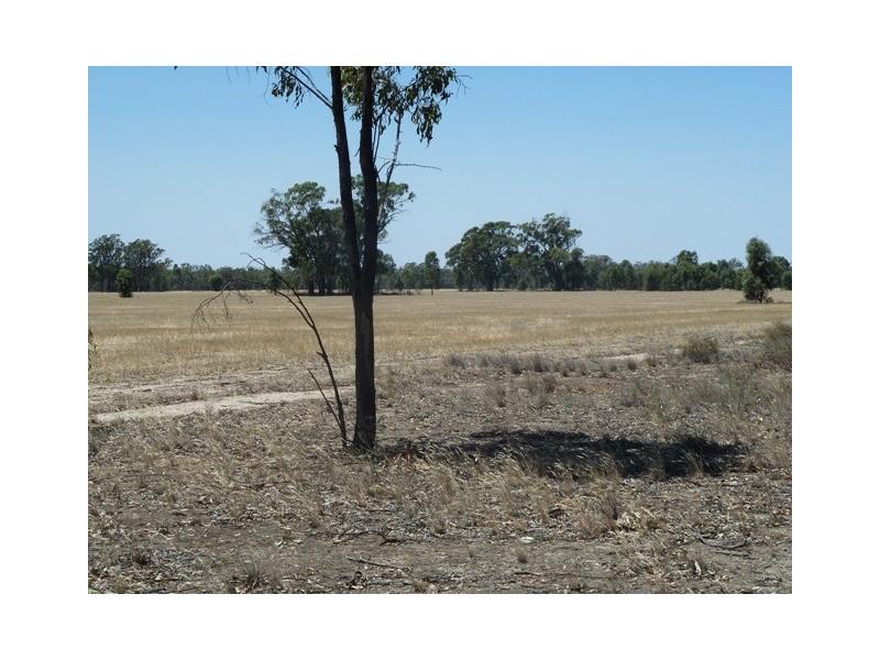 Lot 260 Old Deniliquin Road, Moama NSW 2731