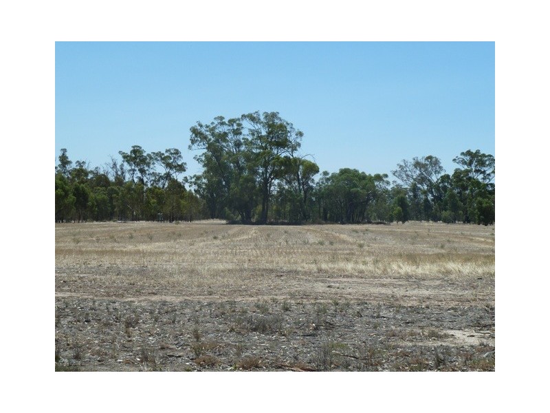 Lot 260 Old Deniliquin Road, Moama NSW 2731