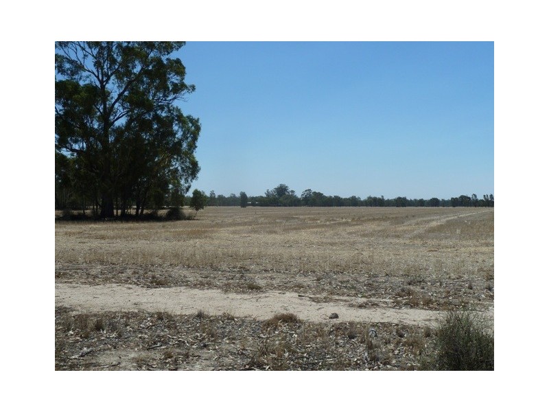 Lot 260 Old Deniliquin Road, Moama NSW 2731