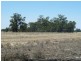 Lot 260 Old Deniliquin Road, Moama NSW 2731