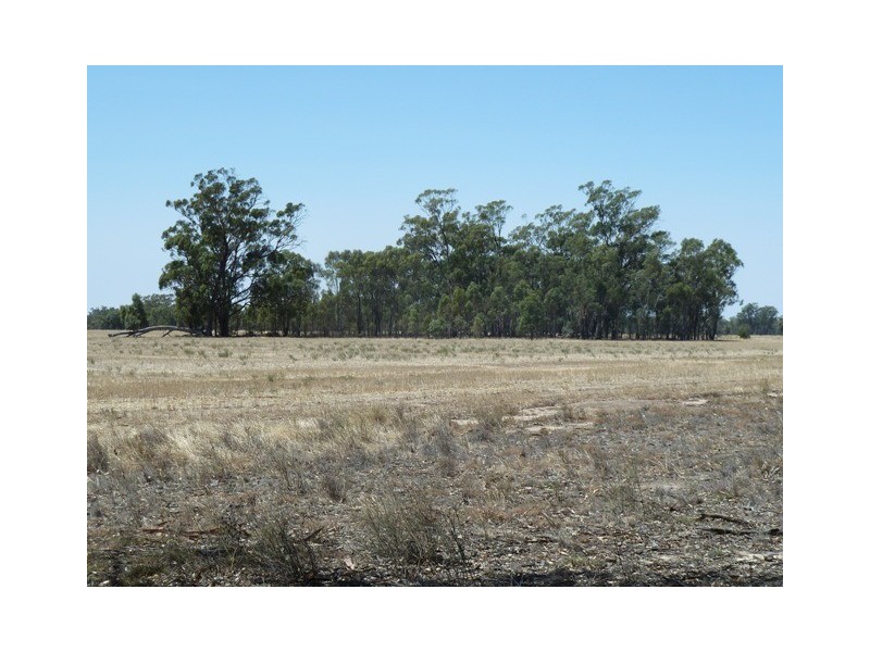 Lot 260 Old Deniliquin Road, Moama NSW 2731