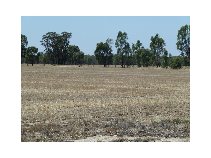 Lot 260 Old Deniliquin Road, Moama NSW 2731
