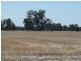 Lot 260 Old Deniliquin Road, Moama NSW 2731
