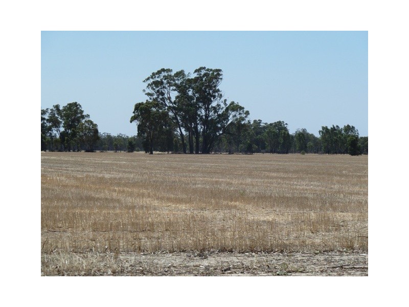 Lot 260 Old Deniliquin Road, Moama NSW 2731